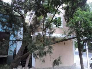 Гостевой дом Нептун у моря Алушта-0